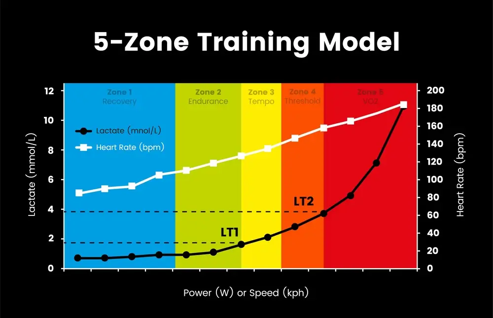 5-Zone Heart Rate Model for Running Training